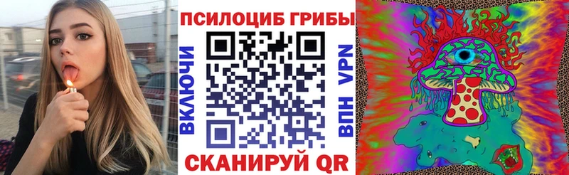 Галлюциногенные грибы GOLDEN TEACHER  blacksprut онион  дарк нет Telegram  купить  сайты  Амурск 